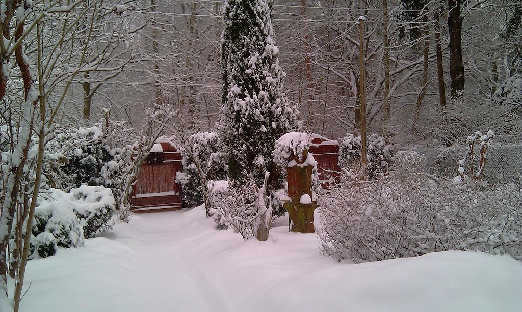 Norwegisches Holzhaus Villa Neuruppin Luaran gambar