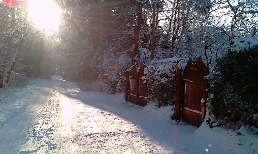 Norwegisches Holzhaus Villa Neuruppin Luaran gambar